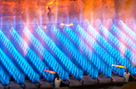 Trenoon gas fired boilers